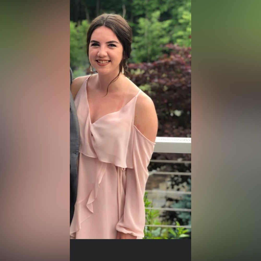 BCBG Blush Flowy Dress (Wedding Guest)